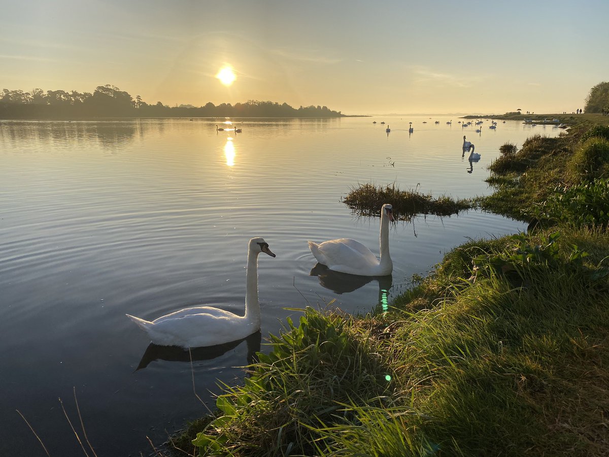 CreatDev's tweet image. This morning at Malahide Estuary🌅 #DILSunriseAppeal