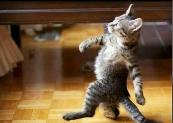 Alaykumar2021's tweet photo. This is how I walk in examination hall to take new extra sheet 😎😂. https://t.co/rSV5hM3WDL