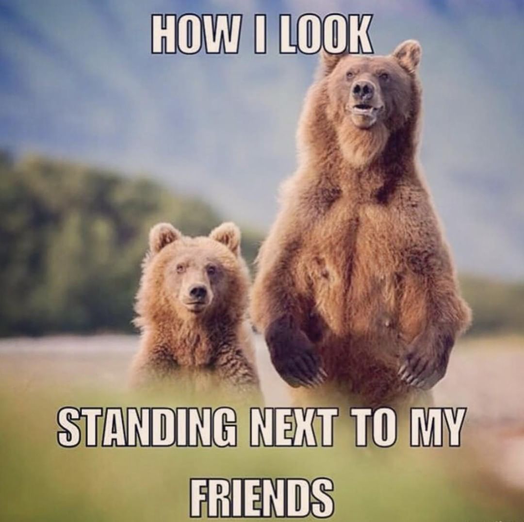 2tall's tweet photo. Truth! 🤦 😆 #tallpeopleproblems #team2tall https://t.co/mGV6y4X9yL