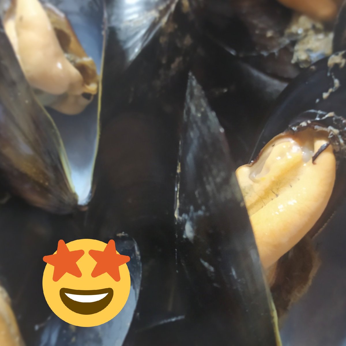 I ♥️ MUSCLUS del DELTA