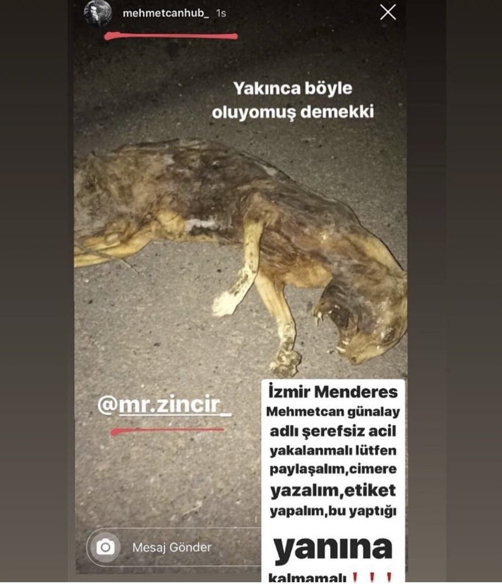 Yeter artık yeter 😭 #MehmetCanTutuklansın