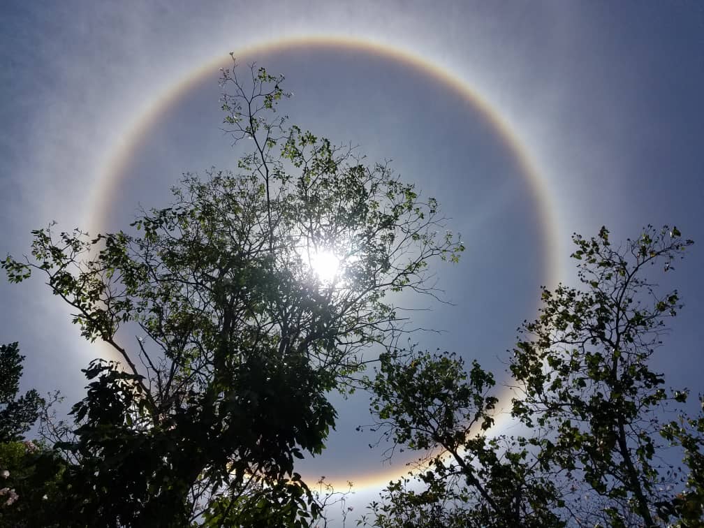 Yudit_BZ's tweet image. ...Life is not a series of gig lamps symmetrically arranged; life is a luminous #halo, a semi-transparent envelope surrounding us from the beginning of consciousness to the end... By Virginia Woolf #WonderfulView in #Cuba #Photos taken by my sister 💝Zory #NatureLovers