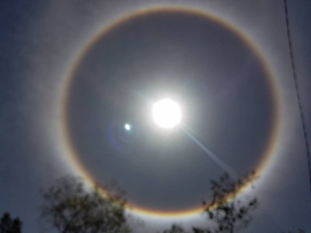 Yudit_BZ's tweet image. ...Life is not a series of gig lamps symmetrically arranged; life is a luminous #halo, a semi-transparent envelope surrounding us from the beginning of consciousness to the end... By Virginia Woolf #WonderfulView in #Cuba #Photos taken by my sister 💝Zory #NatureLovers