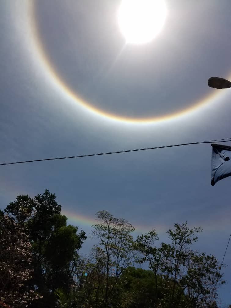 Yudit_BZ's tweet image. ...Life is not a series of gig lamps symmetrically arranged; life is a luminous #halo, a semi-transparent envelope surrounding us from the beginning of consciousness to the end... By Virginia Woolf #WonderfulView in #Cuba #Photos taken by my sister 💝Zory #NatureLovers