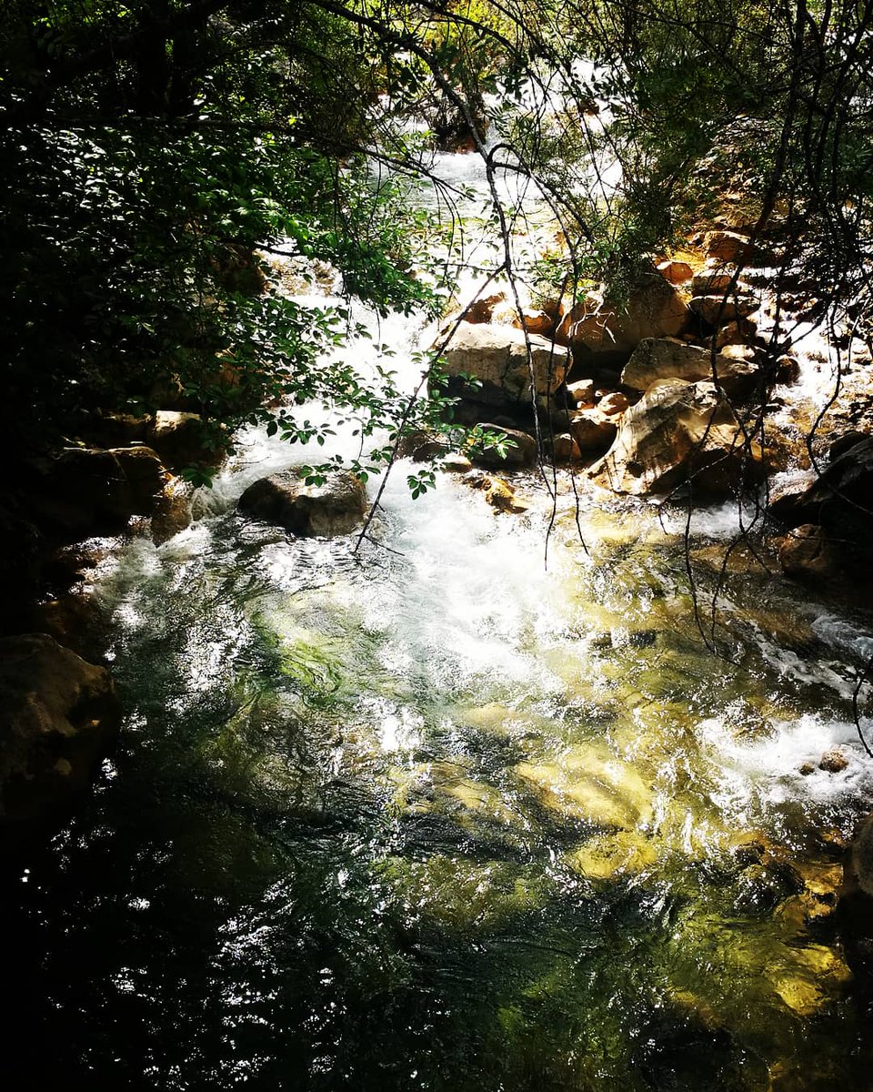 Irene Cruz Lara (@irenecruzlara1) on Twitter photo Parte baja del cañón Cerrada del Utrero. Sigue con bastante caudal nuestro Guadalquivir. <a href="/jaenturismo/">Jaén ParaísoInterior</a> <a href="/PNSierraCazorla/">PN Sierra de Cazorla</a> <a href="/QuebrantaPNCazo/">Quebranta PN Cazorla</a> Parte baja del cañón Cerrada del Utrero. Sigue con bastante caudal nuestro Guadalquivir. <a href="/jaenturismo/">Jaén ParaísoInterior</a> <a href="/PNSierraCazorla/">PN Sierra de Cazorla</a> <a href="/QuebrantaPNCazo/">Quebranta PN Cazorla</a>