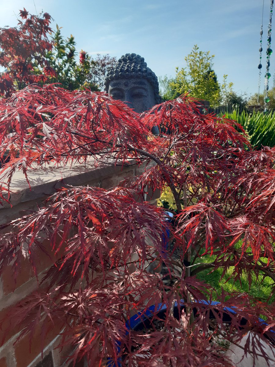 Day 1/7 #mylifeinpictures no people, no words, nominate a new person each day. I was nominated by the glorious <a href="/alisonbolton/">Ali Bolton</a> and today I challenge the sensational <a href="/philhollandnhs/">Phil Holland</a>