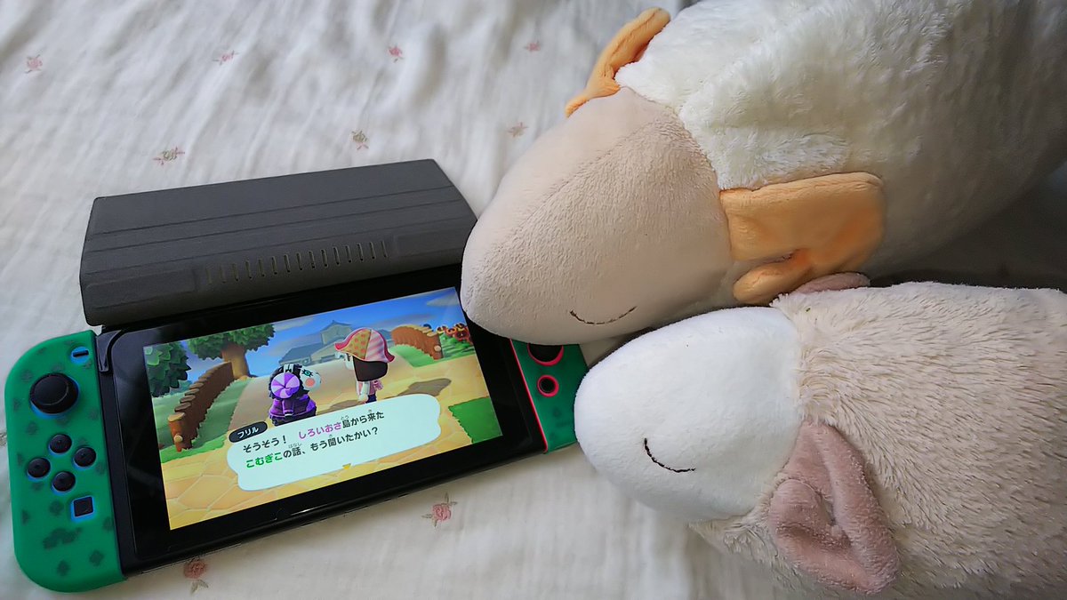 ひつじ Hitsujiga10piki Twitter