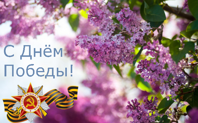 OPTEL13's tweet photo. С праздником! Мира и добра! #деньпобеды https://t.co/n6RHu5pzFJ