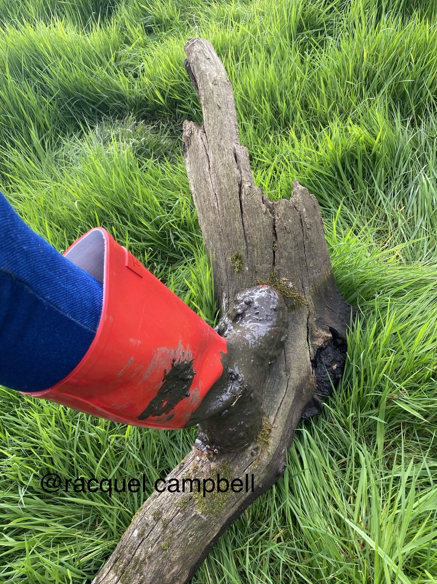 campbellgurl's tweet photo. Forgot to upload this from yesterday! #girlinwellies #muddywellies #farm #countrygirl #countrylifestyle #countryliving #redwellies ❤️❤️ https://t.co/1TxDLLJvoj