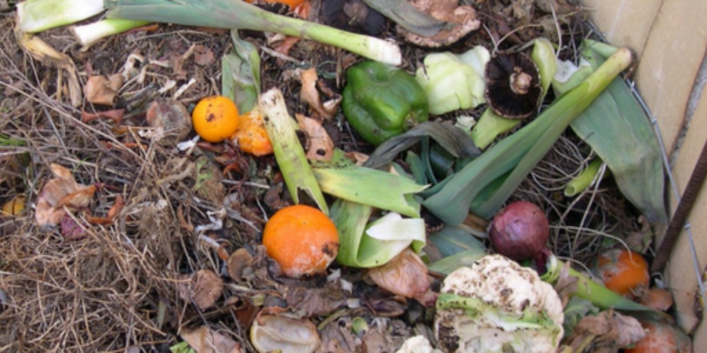 gardenorganicuk's tweet image. How’s your compost heap? Remember to mix greens (lawn cuttings, weed foliage, veg trimmings) with browns (scrunched up paper and card). It will repay you with rich, nutritious homemade compost. ow.ly/vi1E50zzCRi

#InternationalCompostAwarenessWeek #organic