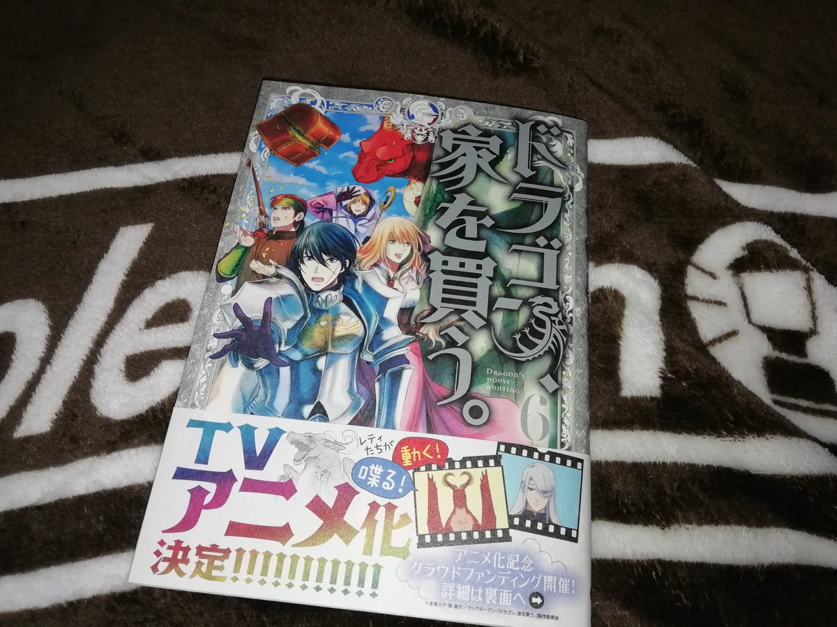 ドラゴンと魔王による新感覚ファンタジー ドラゴン 家を買う がtvアニメ化 画族