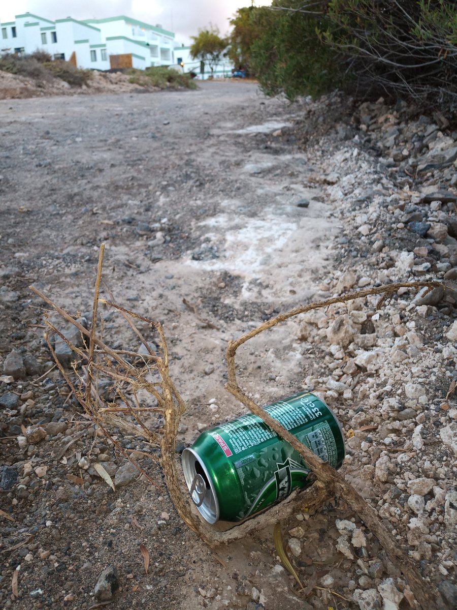 FuerteDiving's tweet photo. Si vas de paseo, no seas cerdo, quédate con tu basura y luego deposítala en el contenedor. https://t.co/BIwCIJ8swg