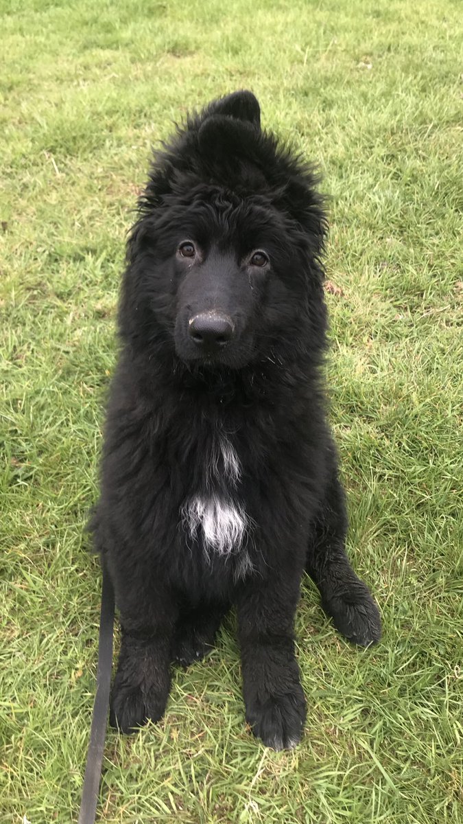 Life in lockdown here has taken on lots of new focus here and after the heartbreak comes new love