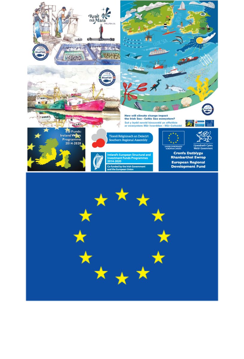 Dathlu Diwrnod DU 2020 yn wahanol o’i gymharu á’r llynedd.
Rydym yn disgwyl yn eiddgar i fynd allan ac yn ôl i'r labordy ond tan hynny rydym yn parhau i brosesu ein data BlueFish a'n cyfarfodydd rhithwir o gartref rhwng Iwerddon a Chymru. #EUDay2020

#IrelandWales #EUFundsCymru