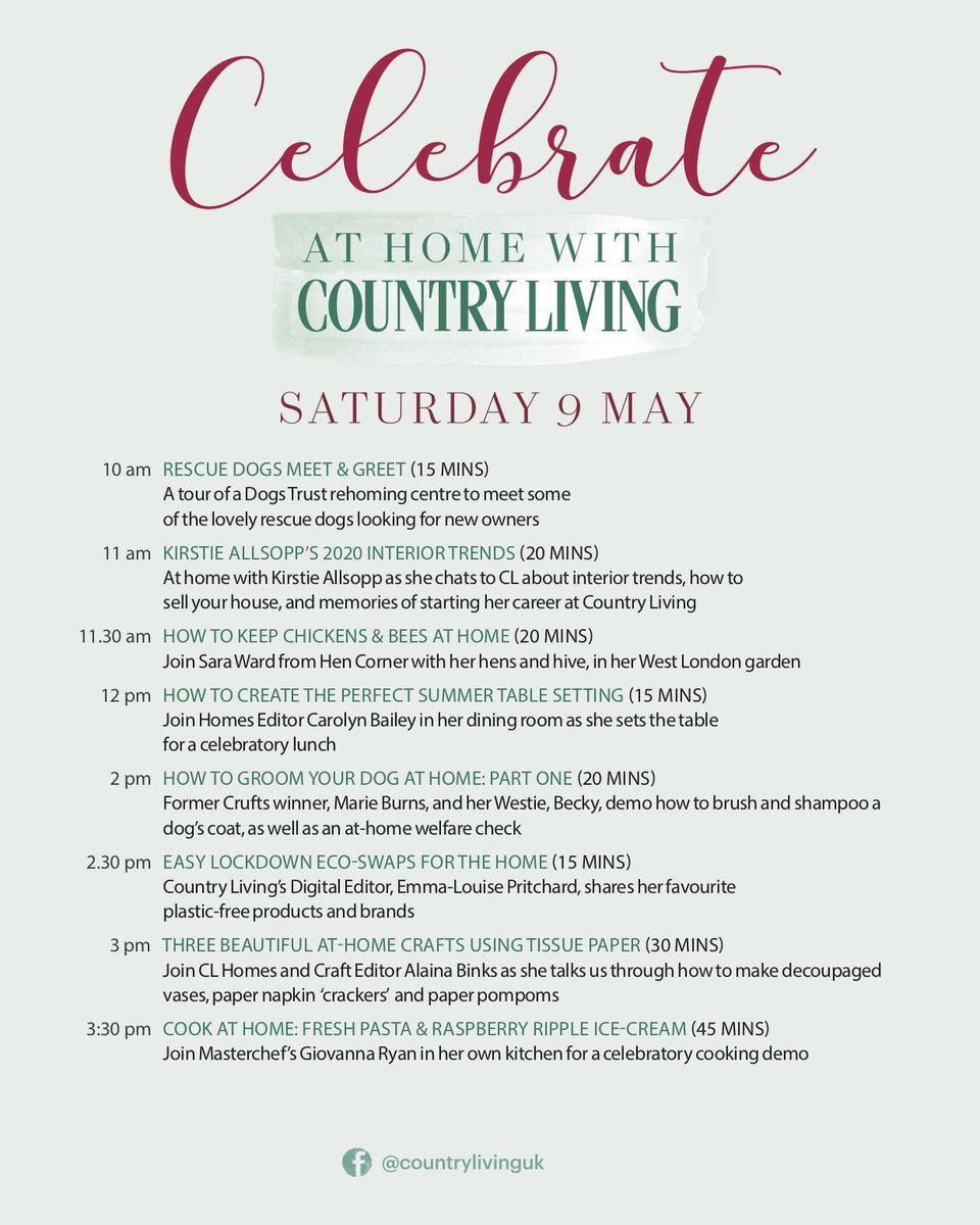 carolynbailey_'s tweet image. 