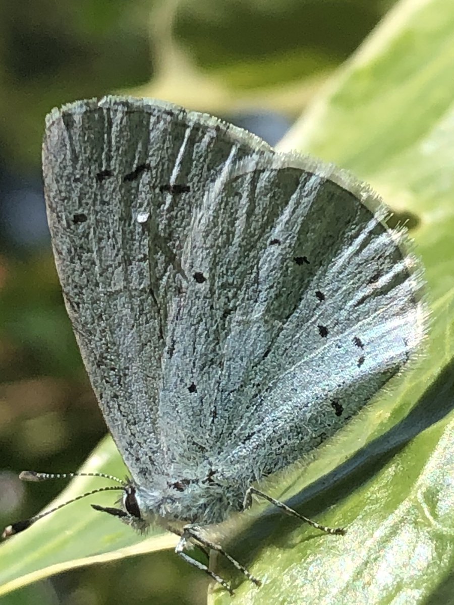 mark williams (@parkend) on Twitter photo 