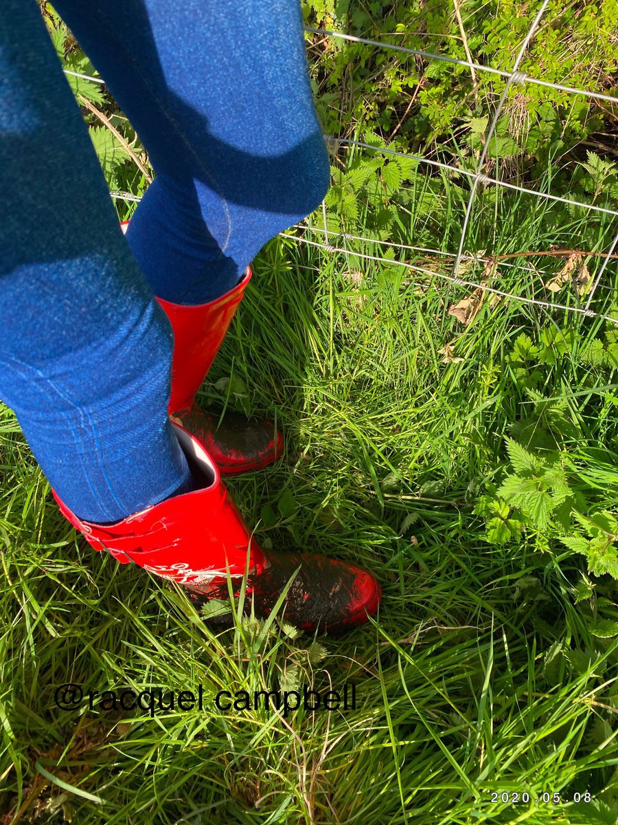 campbellgurl's tweet photo. #countrygirl #muddywellies #mud #girlsinwellies #redwellies #trending #sunnyday #countryliving #countrylife 😍❤️♥️ https://t.co/kGGC8wFQq7
