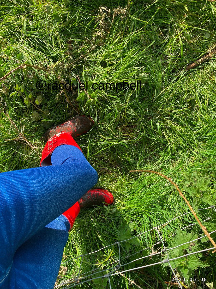 campbellgurl's tweet photo. #countrygirl #muddywellies #mud #girlsinwellies #redwellies #trending #sunnyday #countryliving #countrylife 😍❤️♥️ https://t.co/kGGC8wFQq7