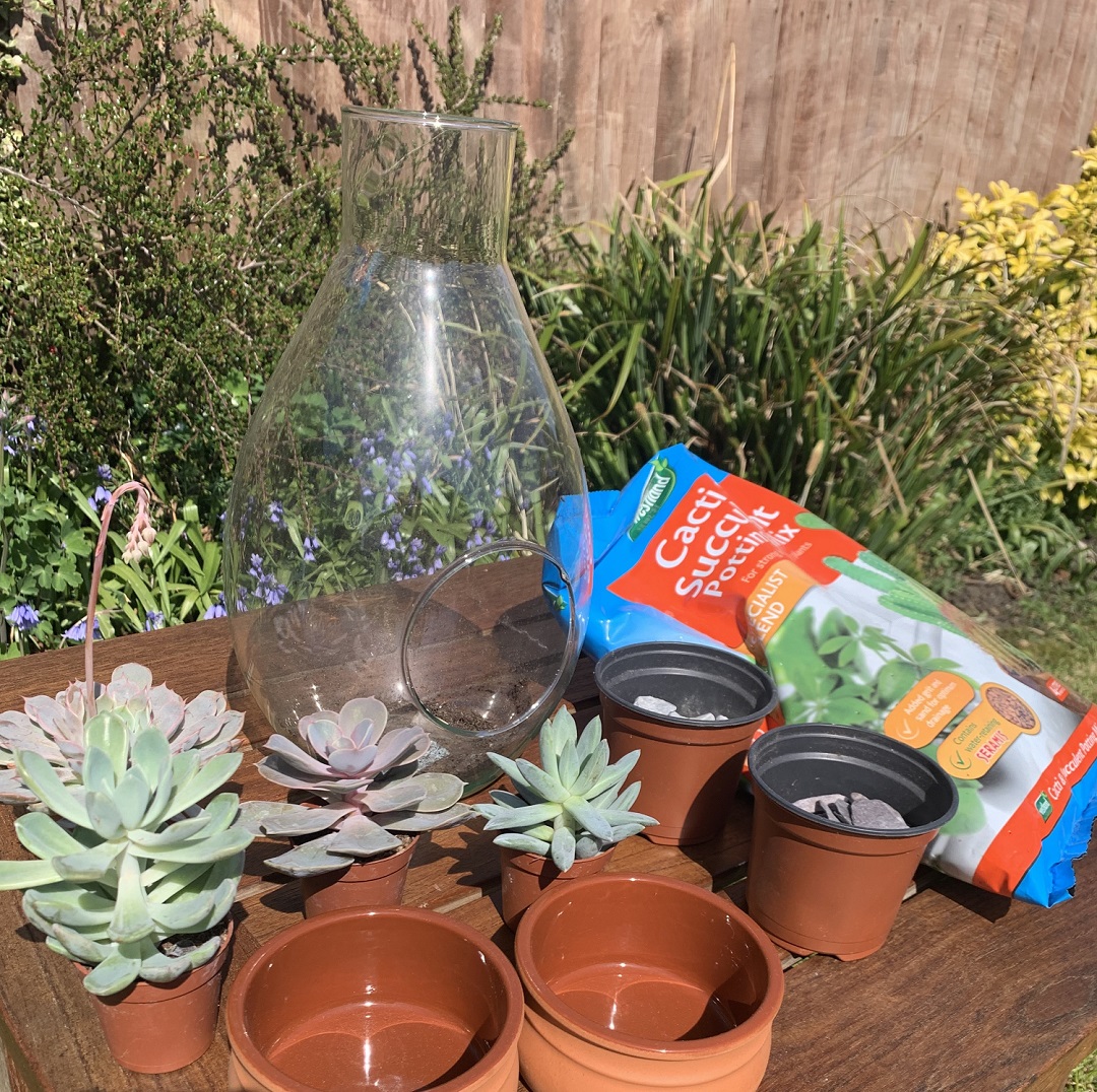 centremk's tweet photo. Bring the outside in with Kirsty from @flowermill6 and the joy of house plants!🌿 Not only are house plants a huge trend, they also offer many health benefits.👍 Read our latest blog post and learn how to make your own terrariums.🌵

(Link: https://t.co/A4DOQVn7lD) https://t.co/WpfL9NNc4P
