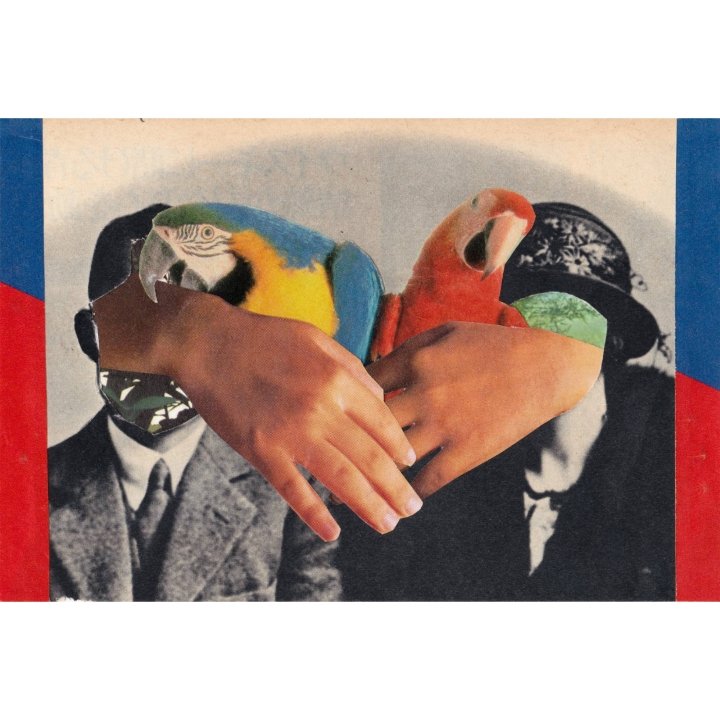 oTsU_lUI's tweet photo. 過去作品

#フォトコラージュ #コラージュ #アート #photocollage #collage #art https://t.co/sZQuYjRALI