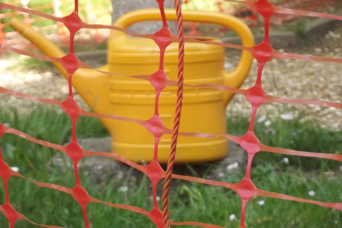 Joseamey's tweet photo. Morning excursion to my local churchyard (St Mark's Talbot Village).  A yellow can in quarantine, three galvanised watering cans bravely setting off on an expedition and the highlight, a glimpse of an elusive cone sheltering in the woodland.  #conewatch #canwatch https://t.co/t8pdCGo3AK