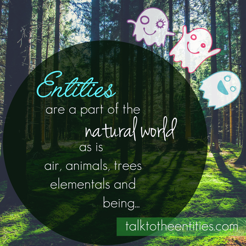 talktoentities's tweet photo. #talktotheentities #happyghost #nature #magicalEarth #spiritworld #trees #animals #elementals #consciousness https://t.co/zWkxyIxoae
