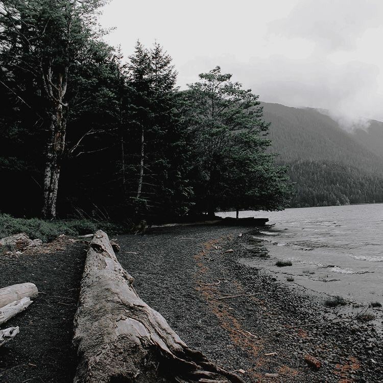 ⠀⠀⠀⠀⠀⠀⠀⠀      

                   ❛ Ｂｕ́ｓｑｕｅｄａｓ. ❜ 
                          『#Tᴡɪʟɪɢʜᴛʀᴘ』