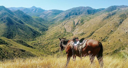 Ranchvacations1's tweet photo. This ranch needs you! @TierraChamahua 𝗶𝘀 𝘀𝘂𝗳𝗳𝗲𝗿𝗶𝗻𝗴, animals need feeding, staff need helping, but they've experienced a total loss of income. ⁠If you're able, please donate anything. 𝙀𝙫𝙚𝙣 $1 𝙬𝙞𝙡𝙡 𝙝𝙚𝙡𝙥! Click here to donate 🙏🏼☺︎ https://t.co/2bwXvpnVNG https://t.co/SkydPNIVFr