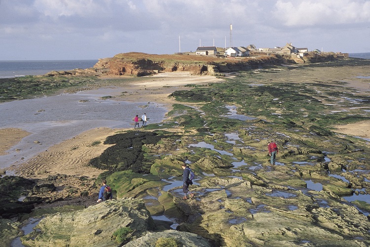 ⚠️ Please refrain from visiting Hilbre Islands this Bank Holiday as they remain closed to the public.

The islands have been closed in order to protect resident safety.

Hilbre looks forward to welcoming you once again WHEN it is safe to do so.