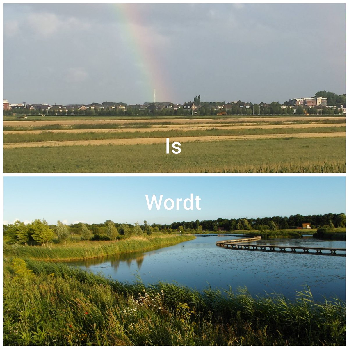 GroenLinksBRD's tweet photo. GL is voor meer natuur en recreatie in het laatste te ontwikkelen deel Zuidpolder. Met onze motie roepen we de initiatienemer op om minimaal te bouwen en alleen langs de Achterzeedijk waar nu ook al bebouwing is. Lees hier meer.
Voor meer info: https://t.co/UkrDTKwIFa https://t.co/uvIngs0wNq