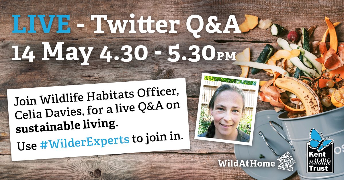 KentWildlife's tweet photo. Are you interested in learning about how to become eco-friendly and more green in your lifestyle? How to reduce your impact on the environment? Join us on Thursday for a Live Q&A with @celiaonabeach to learn about #sustainable living. Use #WilderExperts to join in.
#WildAtHome https://t.co/Ne0QTosXfw