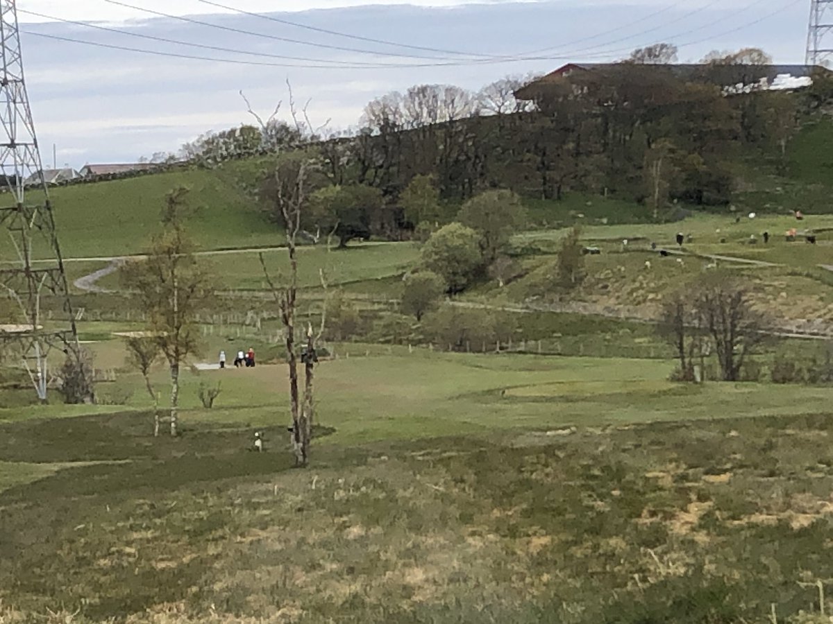 StewBar's tweet image. my golfklubb today , been open 2 weeks now  with restrictions