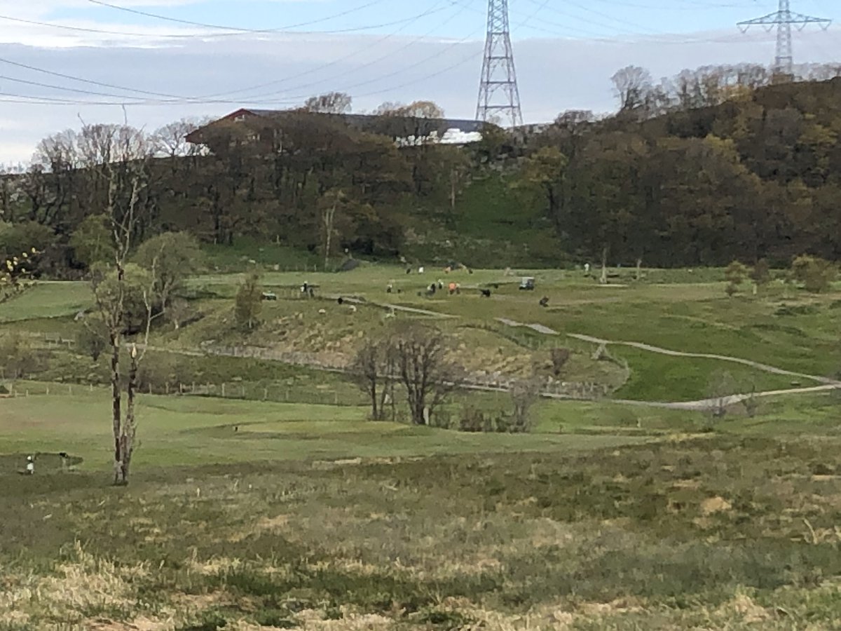 StewBar's tweet image. my golfklubb today , been open 2 weeks now  with restrictions