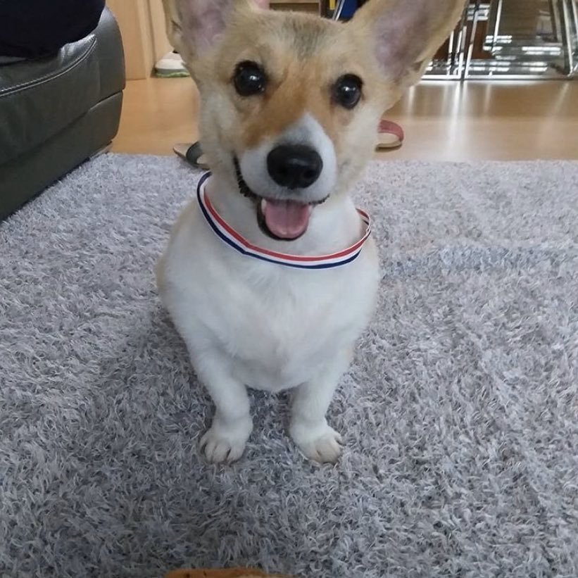 byunascorgi's tweet photo. mongryong             🤝           baekhyun https://t.co/b1c3liZvBC