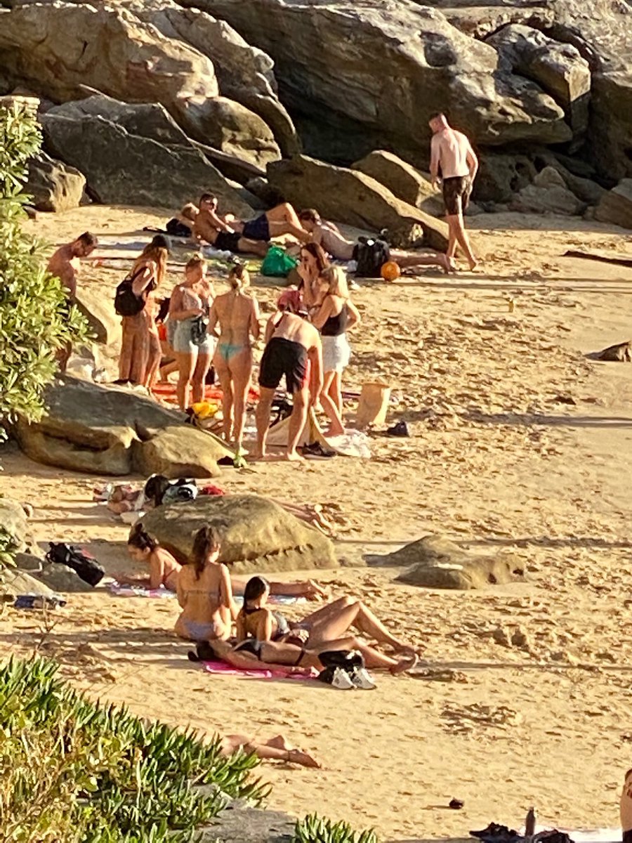 marianne doczi tweet media