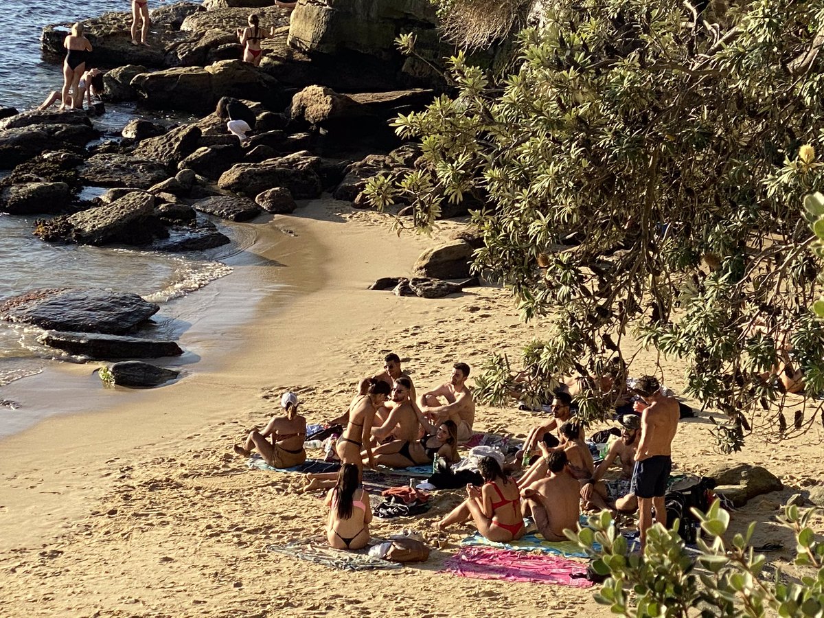 marianne doczi tweet media