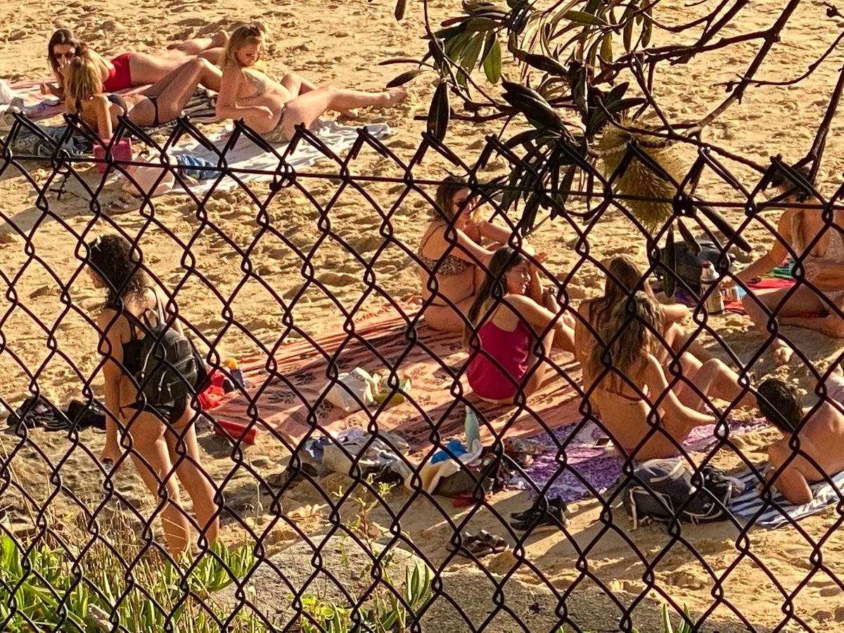 marianne doczi tweet media