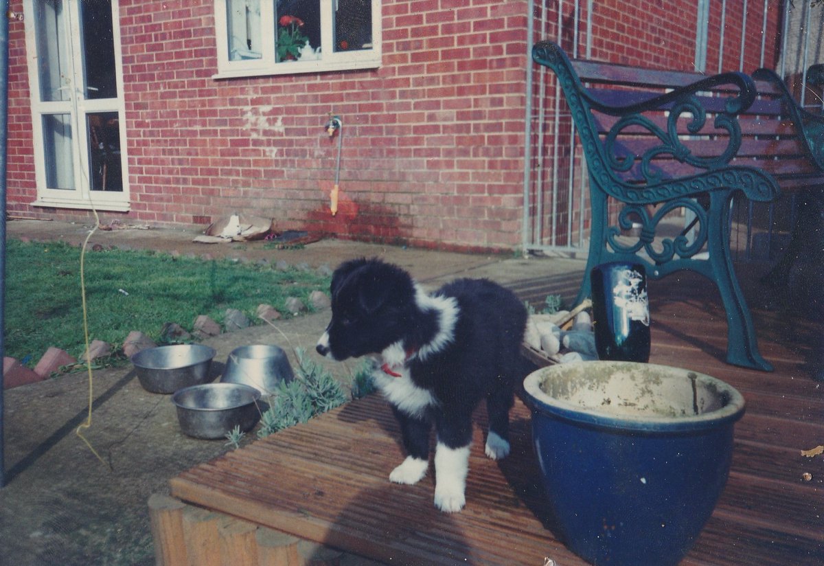 Daniel 🤠 tweet media