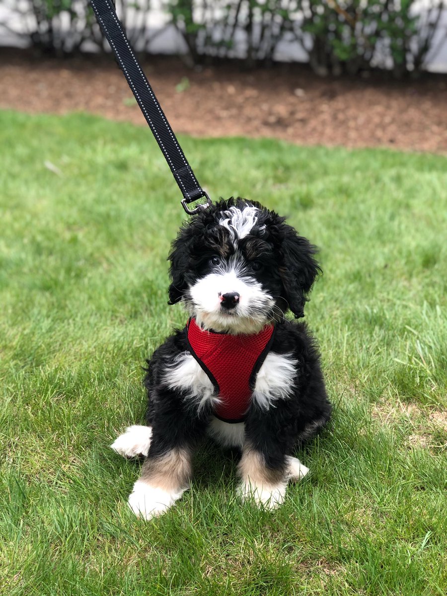 Olive is eagerly awaiting your arrival to compete! @eliza_hersh