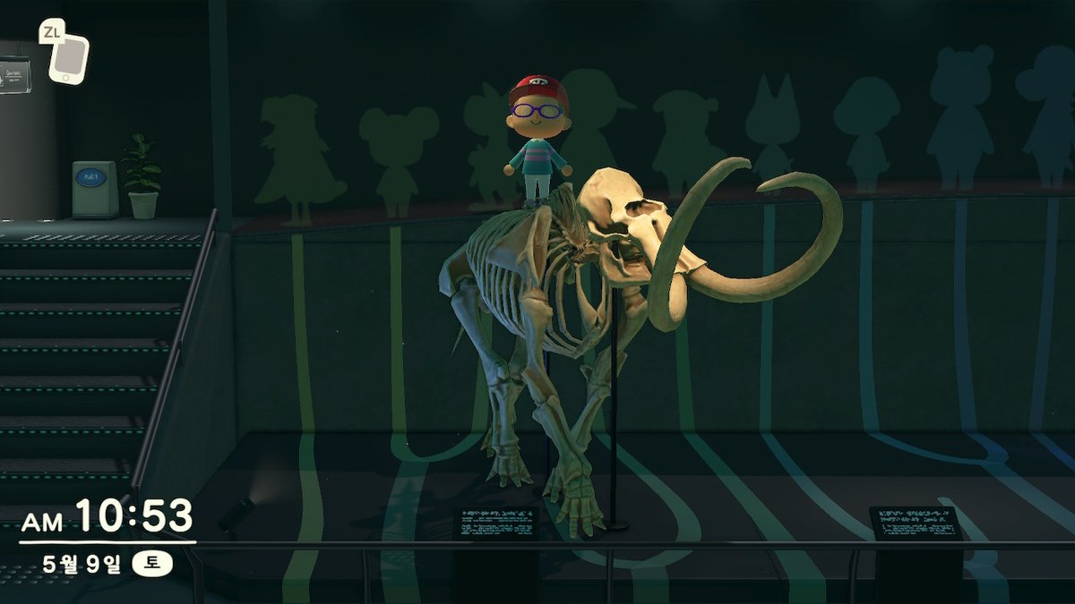 dimanche82's tweet image. #동물의숲 #AnimalCrossing #ACNH #NintendoSwitch