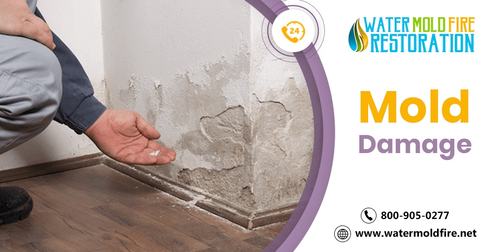 Water Mold Fire Restoration on Twitter "At Water Mold Fire Restoration