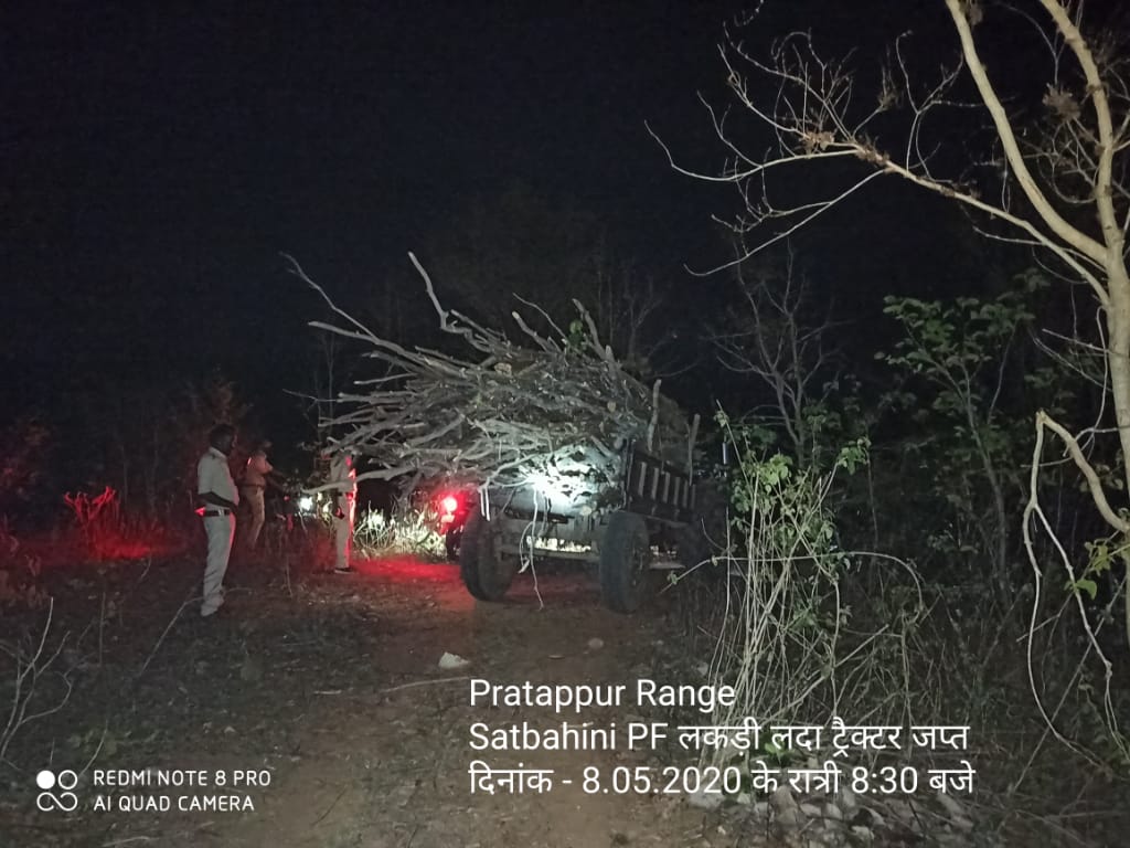 DFO_ChatraNorth's tweet photo. DFO Chatra North @ChatraNorth A tractor loaded with wood seized from Satbahini pf(naxal affected) by forest staffs of pratappur range at 8.30pm yesterday.                                                               @Forest_Dept_GOJ https://t.co/7TroV2DI85