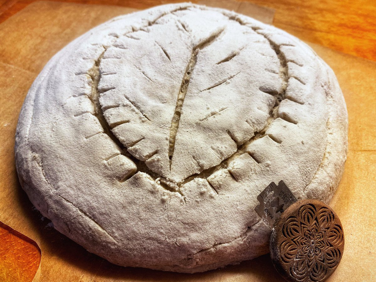 Bryony Taylor tweet media