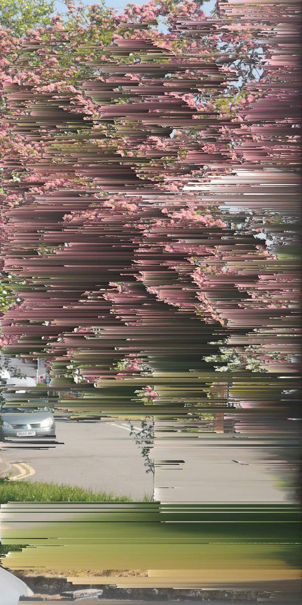 PixelSortingBot's tweet photo. @MBrewster_Art Heres your Pixel Sorted image! https://t.co/pmlrXpERPv
