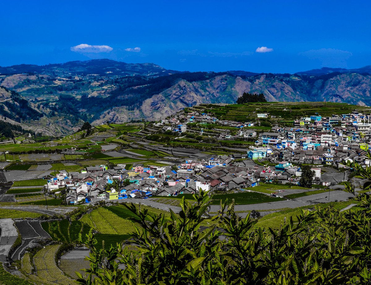 saradasolar's tweet photo. #poombaraivillageview
#kodaikanaldiaries
#villagetour #lordmurugan
#steepingfarming
#blueskies
#greenhills
#colorfullhouses
#myphotography📷
#travelphotography
#selfcaptured
#oldclick https://t.co/oQzwHr9Fca
