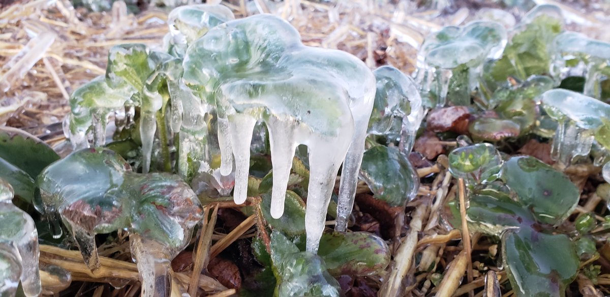 Stephanie Smith tweet media