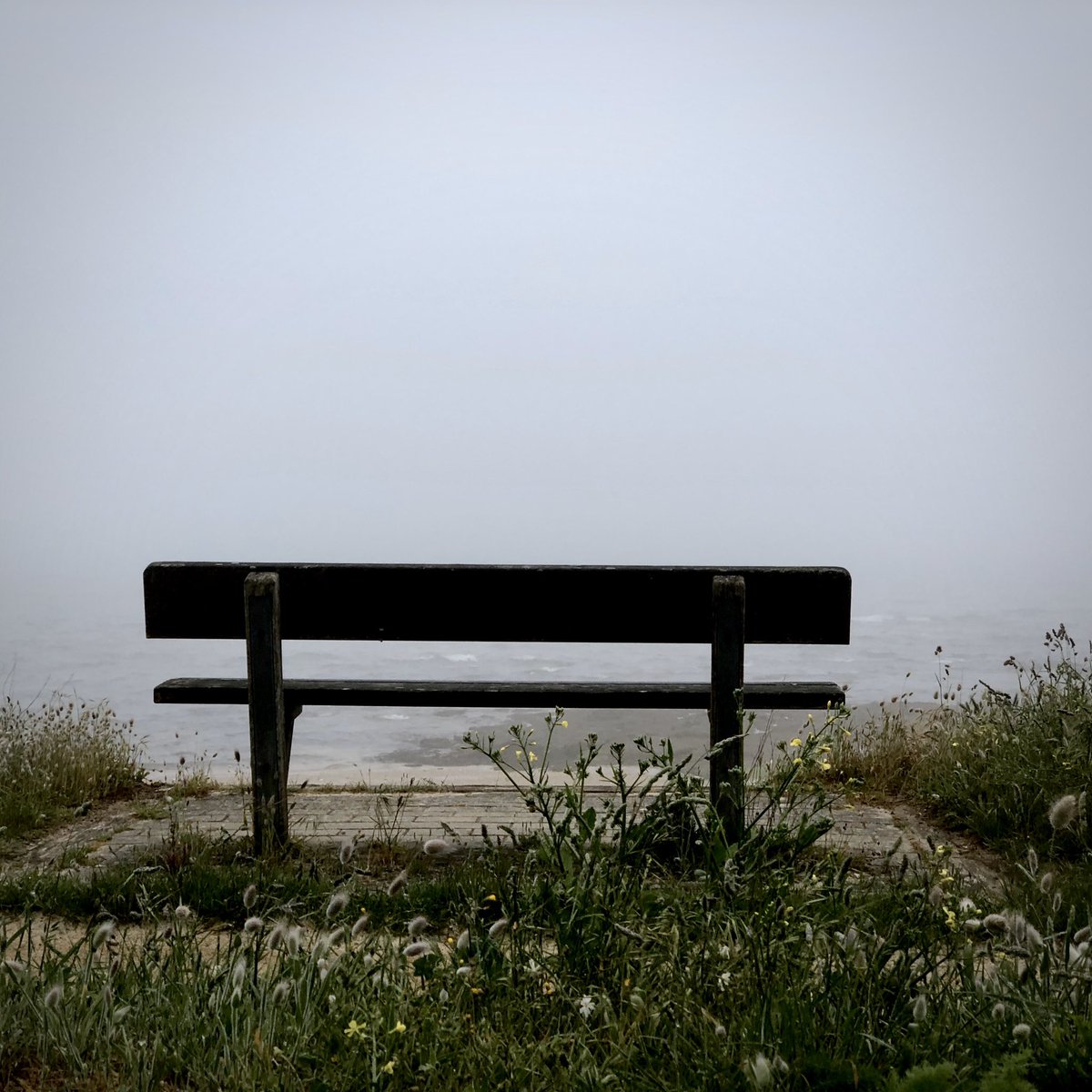 Le journal d’un confinaute #jour54 
#brume

#confinement #covid19fr