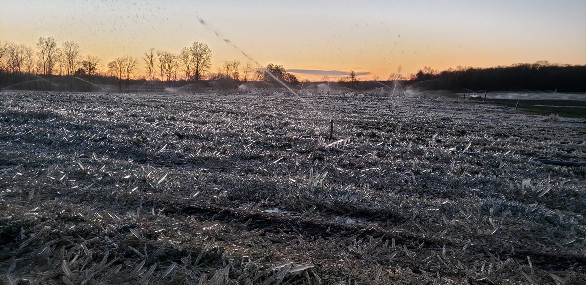 Stephanie Smith tweet media