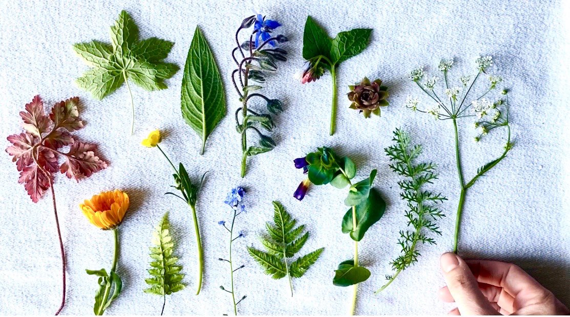 Contact with nature has literally saved my life more than once when my depression has been overwhelming. Next week on #WildMorningswithChris I’ll be talking about the science that explains how nature can really help our mental health during a pandemic  <a href="/ChrisGPackham/">Chris Packham</a> @SIBirdClub