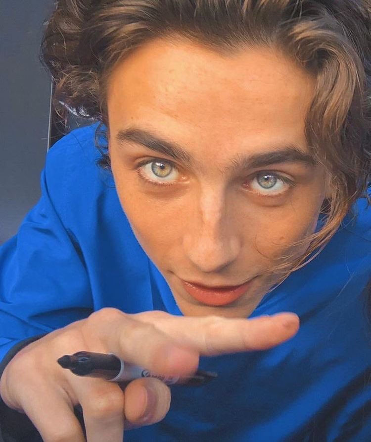 best of timothée (@tchalametpics) / Posts / X